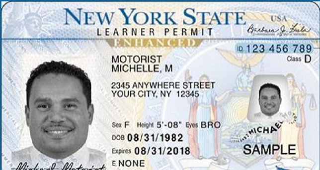 free new york drivers license template